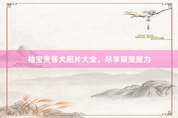 袖宝贵客犬图片大全,尽享萌宠魔力