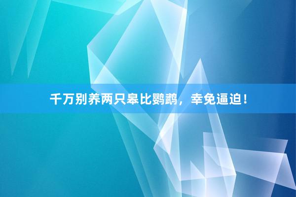 千万别养两只皋比鹦鹉，幸免逼迫！